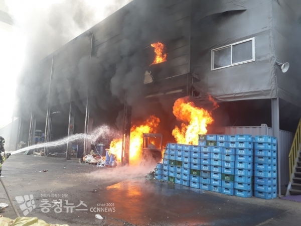 화재를 진압하는 세종소방대원(사진 = 세종소방서 제공)