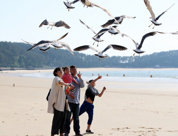 만리포해수욕장 개장