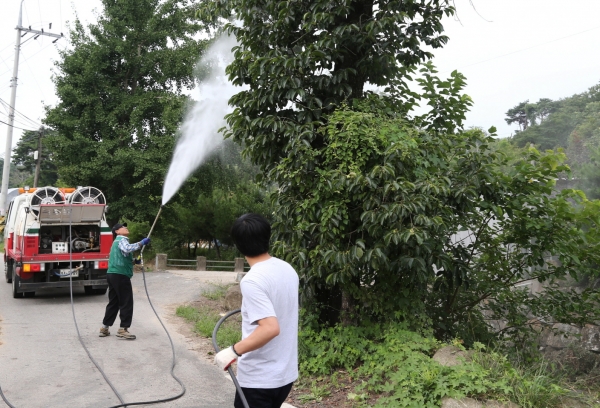 돌발해충 방제 모습