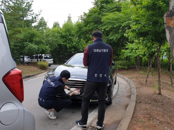 체납차량 합동 번호판 영치 모습