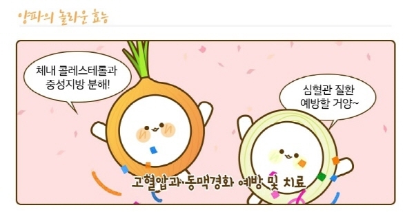 양파 고르는 방법 및 효능 일러스트 자료