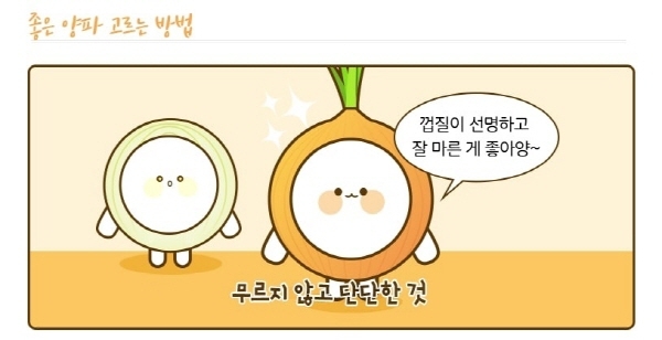 양파 고르는 방법 및 효능 일러스트 자료