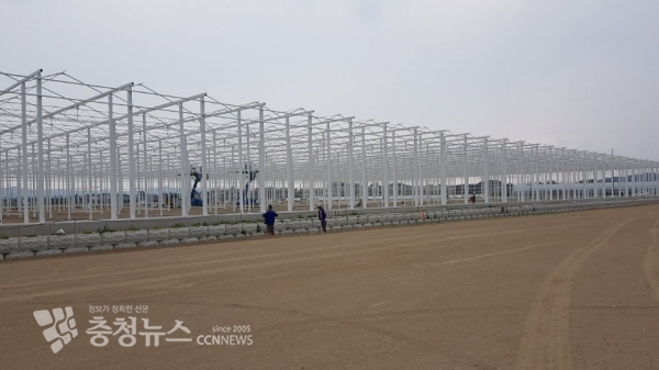 스마트팜 온실신축사업 전경 / 충청뉴스 최형순 기자