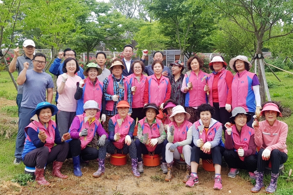 서산시 고북면 생활개선회에서는 지난 19일 서산국화축제장에서 회원 20명이 참여한 가운데 국화축제준비를 위한 국화황토공원 국화심기 봉사활동 실시