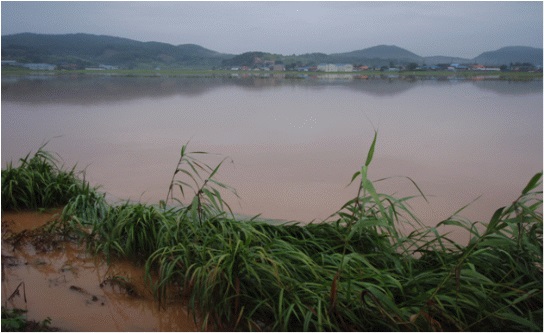 서천군, 배수개선사업 국비 282억 원 확보(2014년 고마지구 침수 모습).