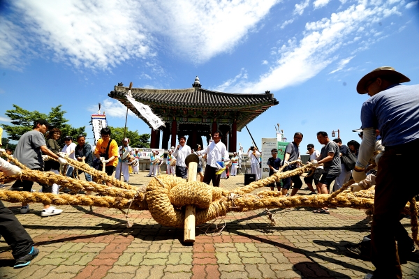 23일 임진각 줄다리기 사진