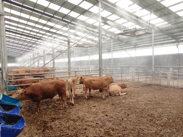 서천군농업기술센터, 축사 내 농업미생물 안개분무 시설 모습