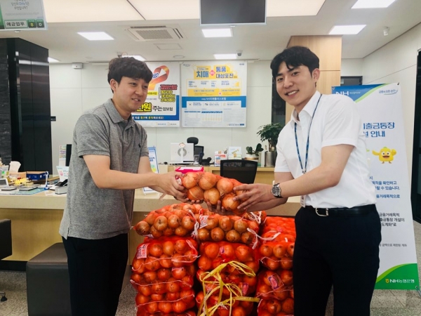 농협은행 양파 사은행사