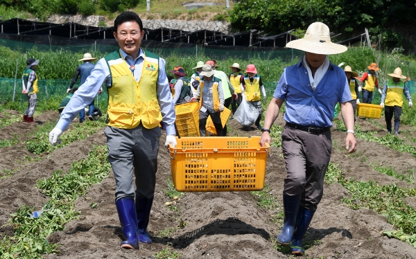 행복나눔농장, 감자수확