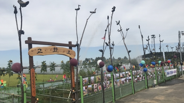 지난해 해바라기축제 모습