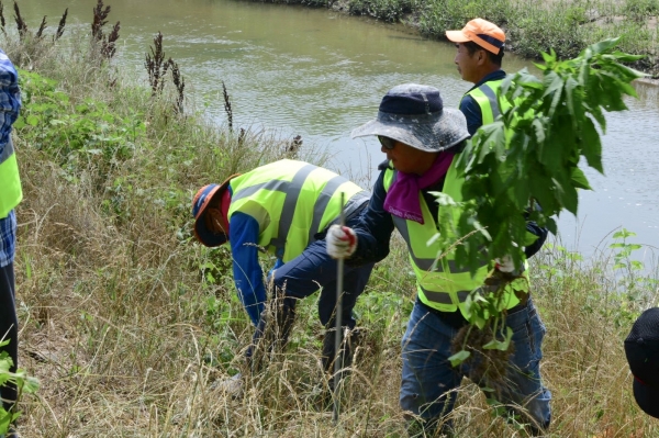 생태교란식물 퇴치 위해 민·관이 힘을 합쳐 본격적인 퇴치사업 실시 모습