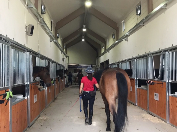 보수공사를 마친 본마사동