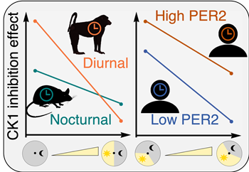 KAIST 김재경 교수 연구팀 성과 개념도