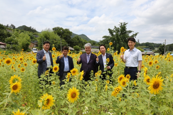 해바라기 현장행정