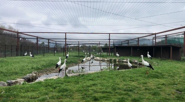 황새공원 사육시설