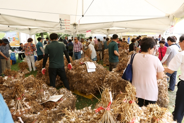 서산6쪽마늘축제 판매장에서 관광객들이 6쪽마늘 축제를 구경하고 있다
