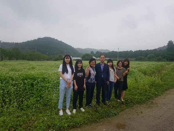 구봉광산 폐광지에 ‘메밀꽃 밭' 조성