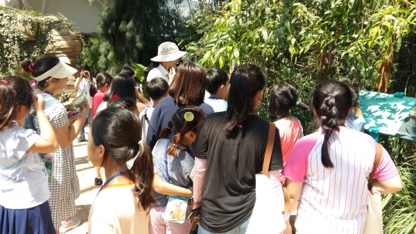 여름방학 프로그램