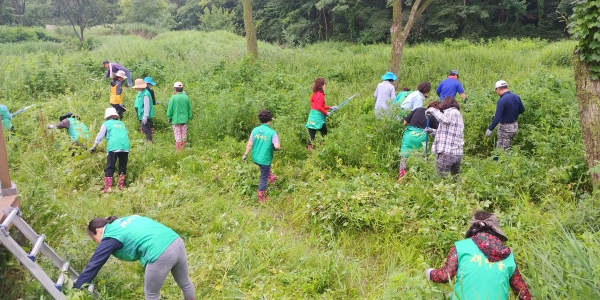 생태교란식물 제거