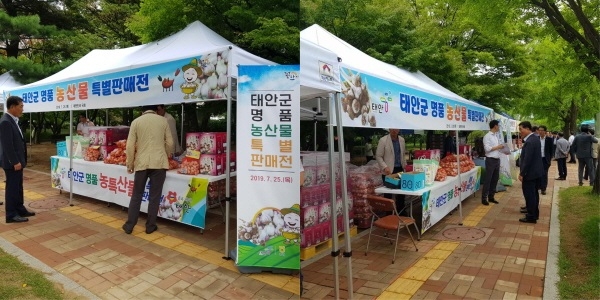 태안 명품 농수산물 특별판매전