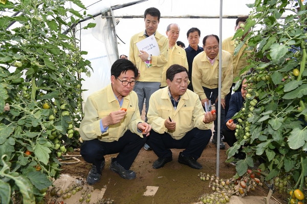 호우 피해 현장에 동행 점검에 나선 양승조도지사와 황선봉 군수