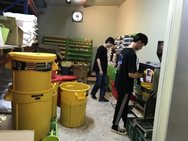 마을 청년활동가 지원사업 근로 장면(보령커피).