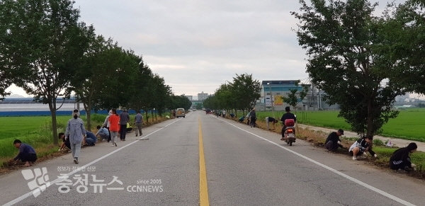 논산시 광석면 이장단, 꽃길조성