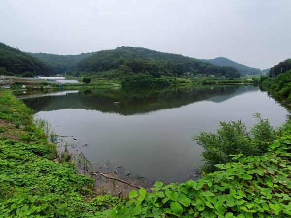 홍성군 농업용수 확보 사활_홍보지구 농업용수 공급 중인 서부 중촌저수지 전경