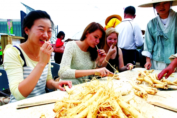 인삼축제 건강체험 확대 (지난해 축제장 모습)