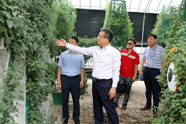 국화축제 준비 양묘장을 방문하고 있는 정용래 구청장