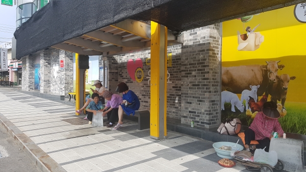 주민 위해 버스 정류장 폭염 대비 물품 설치