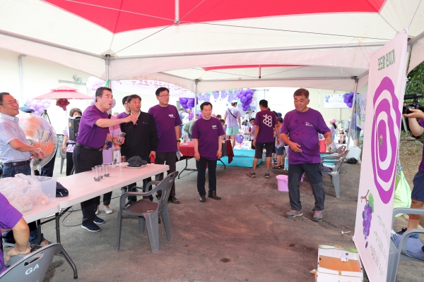 88 포도데이 개최 모습