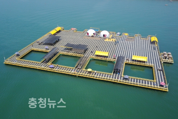 천수만 해상 낚시터 모습