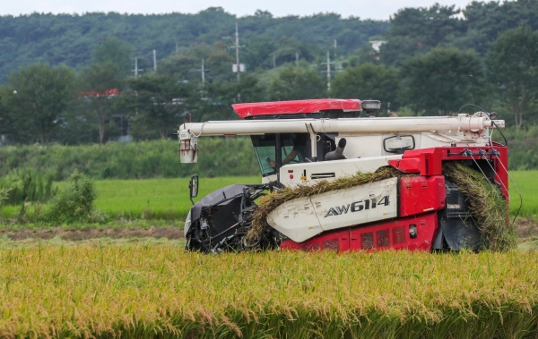 당진 올해 벼 첫 수확 모습