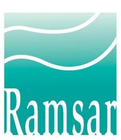 람사르협약 상징로고