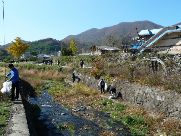 부여군 외산면 도랑살리기 운동 장면