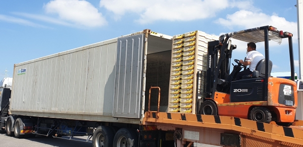 하늘그린 천안배 첫 미국 수출 선적 모습