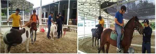 사회공익 힐링승마 진행