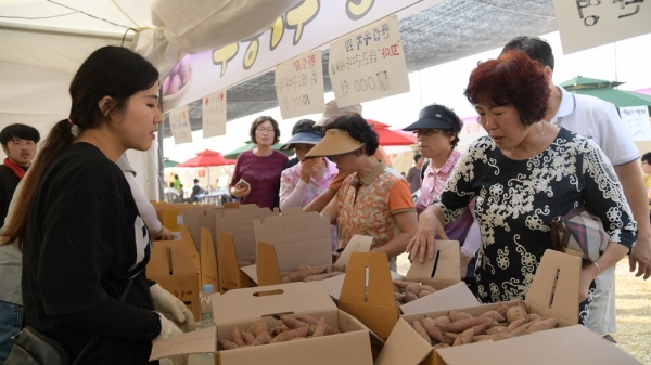 지난 고구마축제 (고구마 판매장 모습)
