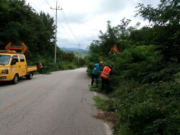 주요 진입도로 제초작업 장면