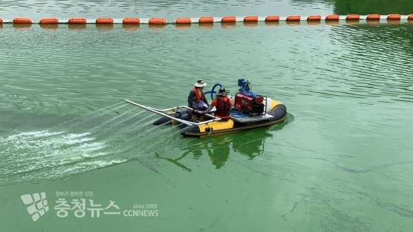광합성억제제 투입 장면