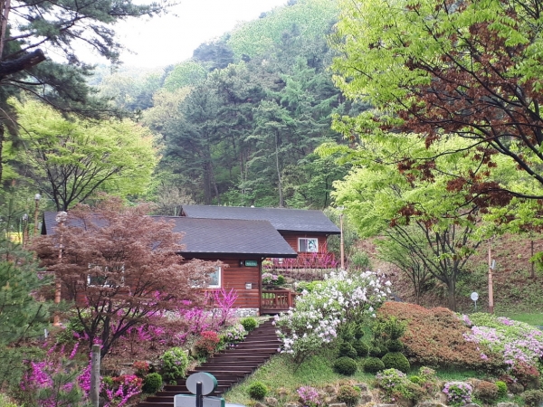 봉수산 자연휴양림 숲속의 집
