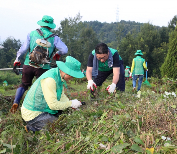 추석맞이 무연분묘 벌초현장