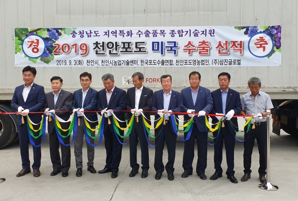 하늘그린거봉포도 수출 선적식 모습