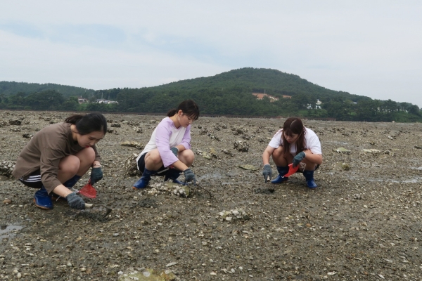 3일 진행된 팸투어 모습 (갯벌 체험)