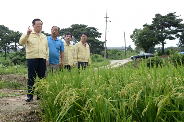 김석환 홍성군수 태풍피해대비 현장방문