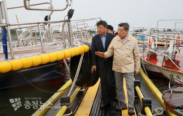 가세로 군수 태풍 대비 현장점검(당암포구 선착장)