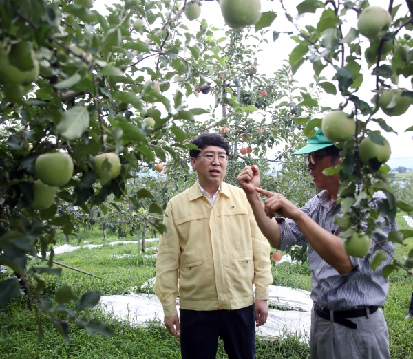 6일 오전 해미면 사과재배 농가를 방문해 태풍 대비 상황을 점검했다.