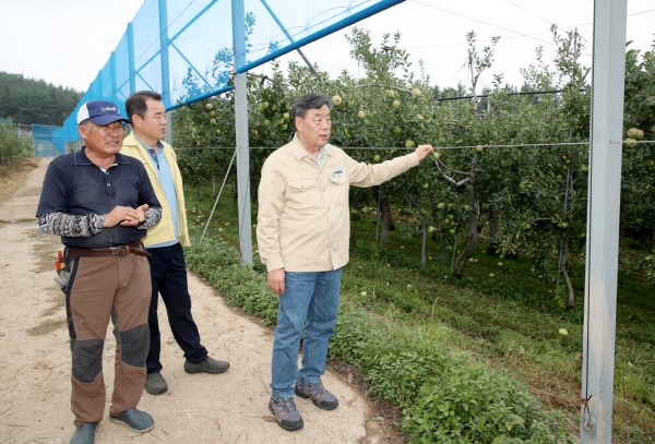 가세로 군수 태풍 피해지역 방문(태안읍 장산리 과수원).