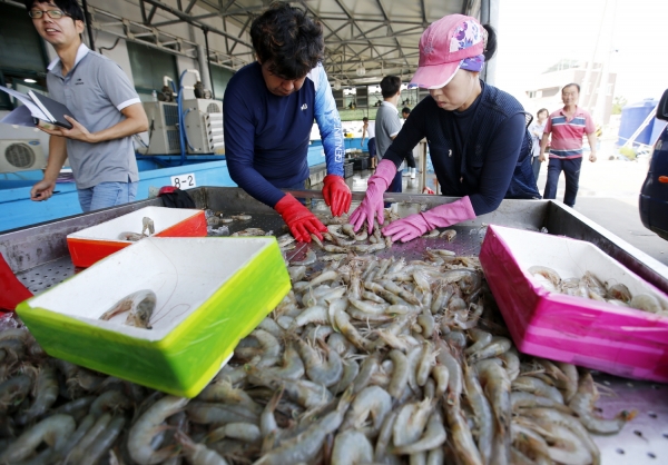 백사장 대하 모습